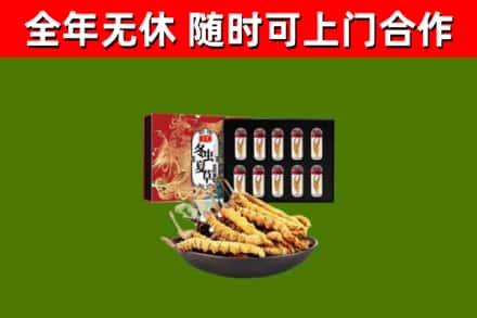 沙洋回收冬虫夏草价格